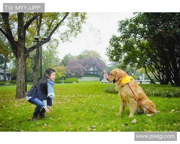 足球明星背后的女人们她们的故事与荣耀交织的生活篇章